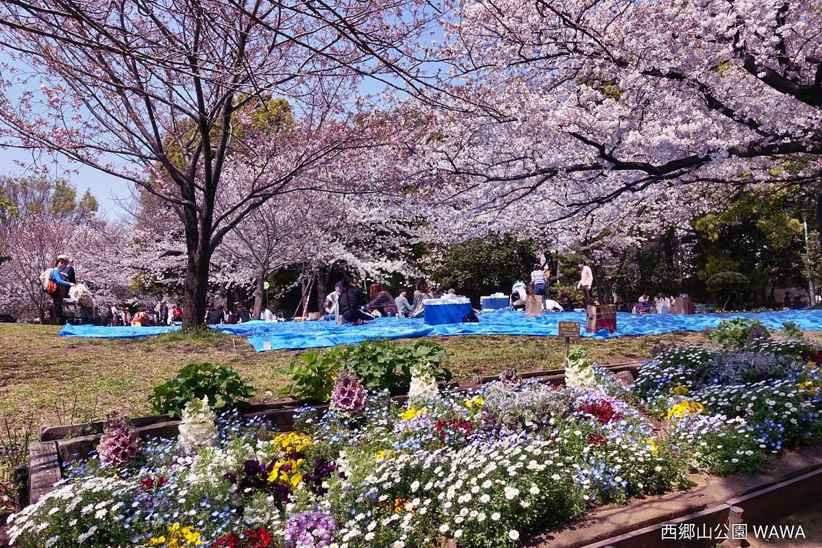 🏞️ 사이고야마 공원 이미지 5